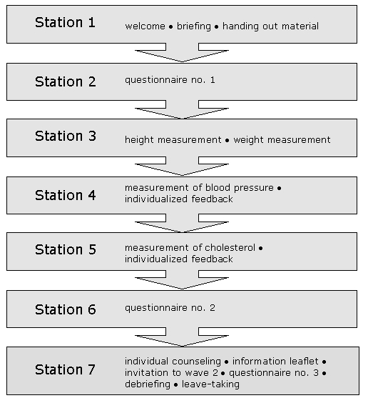 station 1: welcome, briefing, handing out material. station 2: first questionnaire. station 3: height and weight measurement. station 4: measurement of blood pressure, individual feedback. station 5: measurement of cholesterol, individual feedback. station 6: second questionnaire. station 7: individual counseling, information leaflet, invitation to wave2, third questionnaire, debriefing, leave-taking